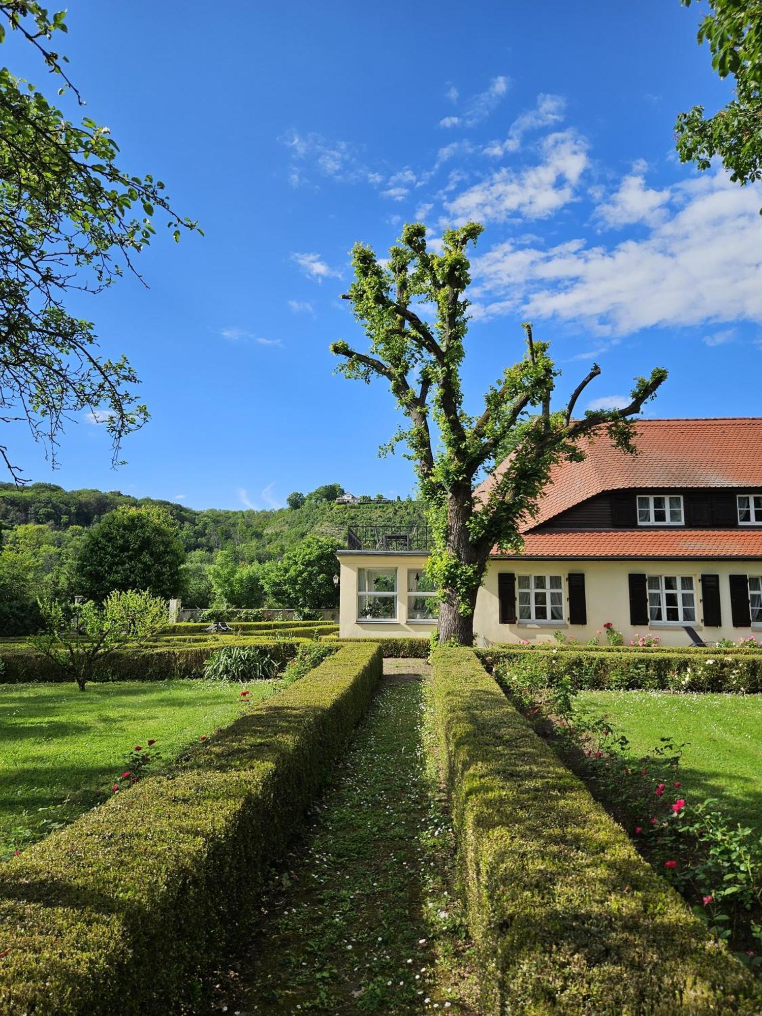 Landhaus Saaleck Lejlighed Naumburg  Eksteriør billede